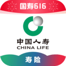 腿长的昆虫